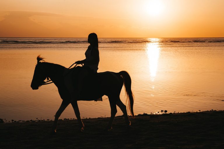 equitation-balage-cheval-nosy-be